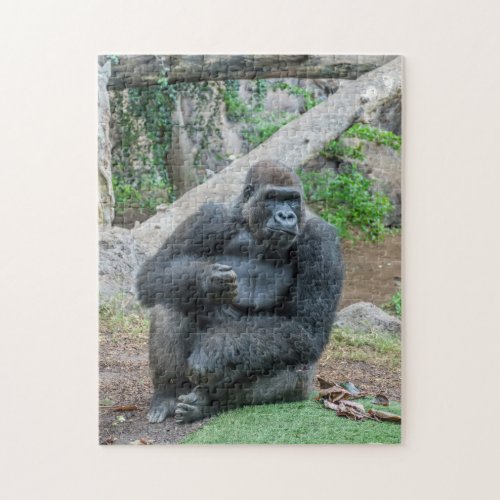 Gorilla at the zoo puzzle