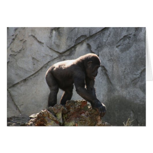 gorilla baby cards (Front Horizontal)