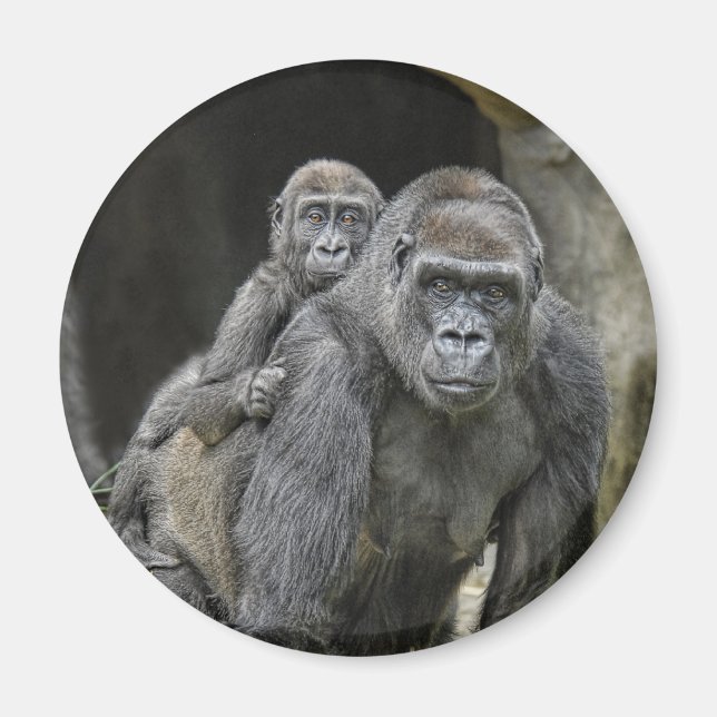 Gorilla & Baby Magnet (Front)