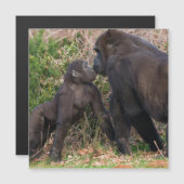 Gorilla Baby's Affectionate for Mum (Front/Back)