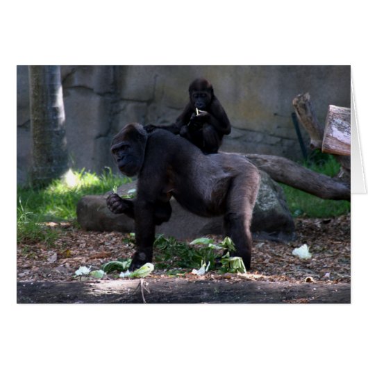 gorilla back cards (Front Horizontal)