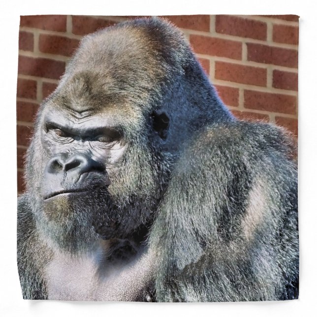 GORILLA BANDANA (Front)