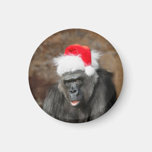 Gorilla Biddy in a Festive Christmas Hat Magnet (Front)