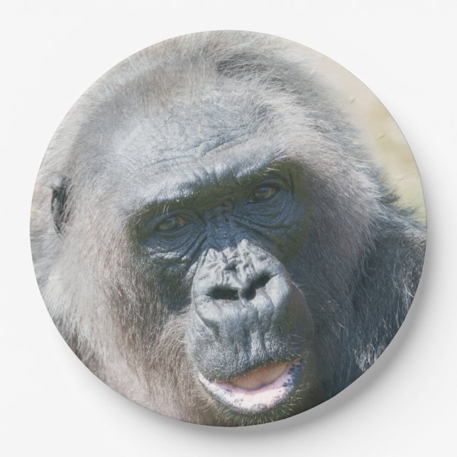 Gorilla Biddy’s Silver Glow in the Sun Paper Plates (Front)