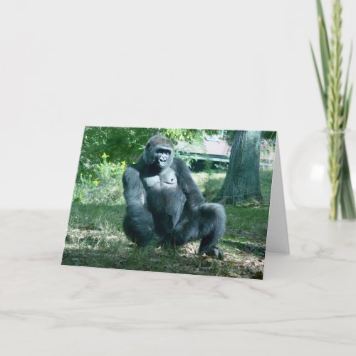 Gorilla Blank Greeting Card