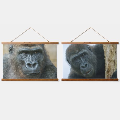 Gorilla Boys Lope And Shufai Hanging Tapestry
