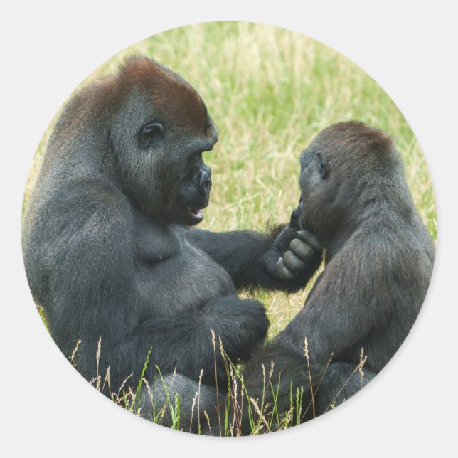 Gorilla Brother's Forever Classic Round Sticker (Front)