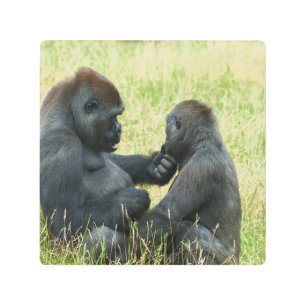 Gorilla Brother's Forever Metal Print