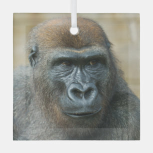 Gorilla Brothers - GoBros Glass Ornament