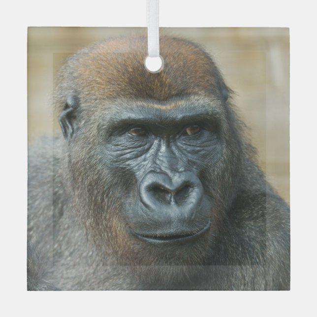 Gorilla Brothers - GoBros Glass Ornament (Front)