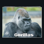 Gorilla Calendar<br><div class="desc">Get wild with the new Gorilla Calendar,  featuring the charismatic stars from the SloggerVlogger YouTube channel. Explore their captivating moments in 12 months of untamed charm.</div>