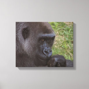 Gorilla Canvas Print