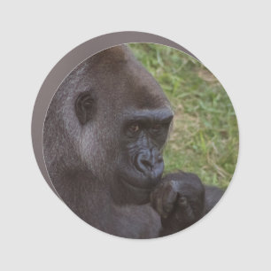 Gorilla Car Magnet