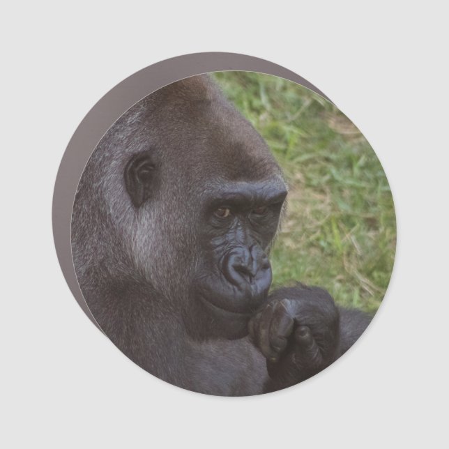 Gorilla Car Magnet (Front)
