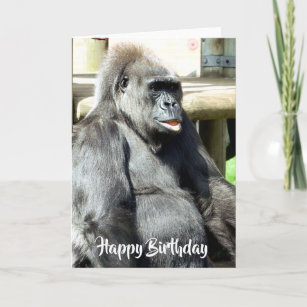 Gorilla Ape Card, Cute Greetings Card, Blank Cards With Envelope, Wildlife  Design Cards, Any Occasion Card, Gorilla Card, Gorilla Gifts -  Norway