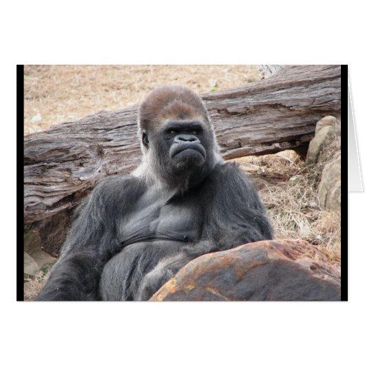 gorilla cards (Front Horizontal)