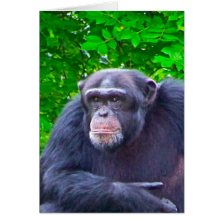 Gorilla Cards