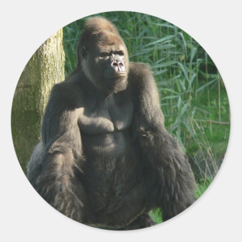 Gorilla Classic Round Sticker
