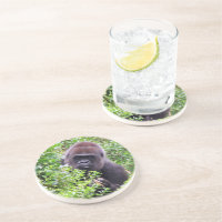 Gorilla Coasters, Coaster, Gorilla Gifts