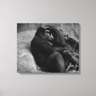 Gorilla Contemplation - Black and White Photo Canvas Print