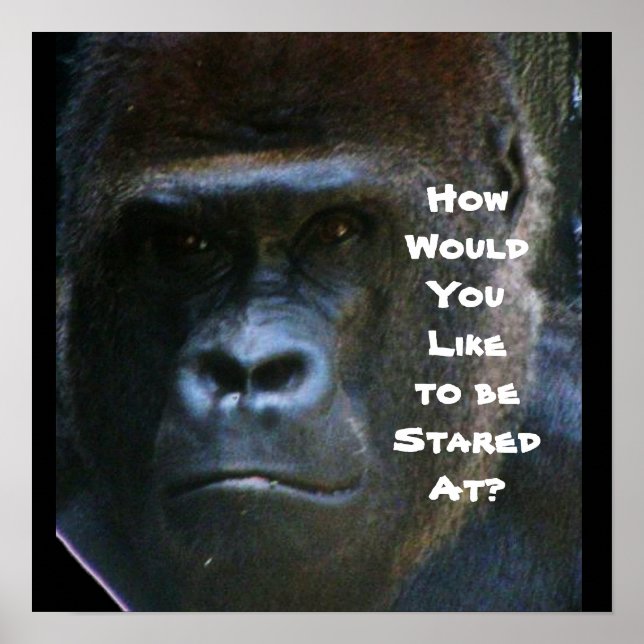 GORILLA DON'T STARE AT ME poster (Front)