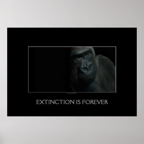 Gorilla Endangered Wildlife Primate Wild Animal Poster