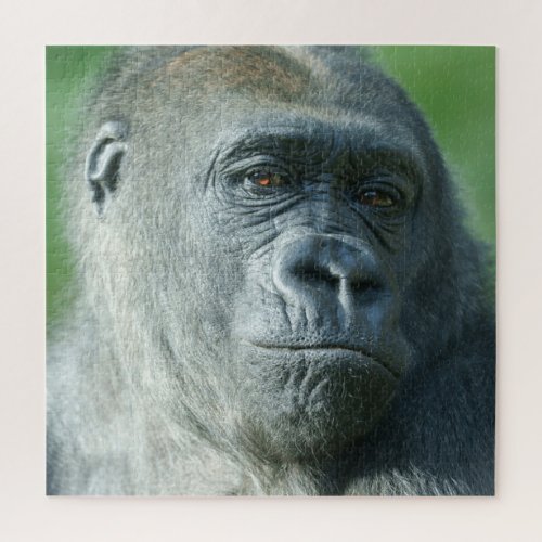 Gorilla Face Jigsaw Puzzle