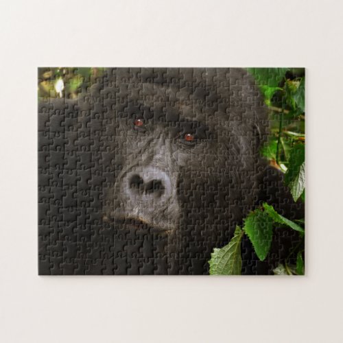 Gorilla Face Jigsaw Puzzle