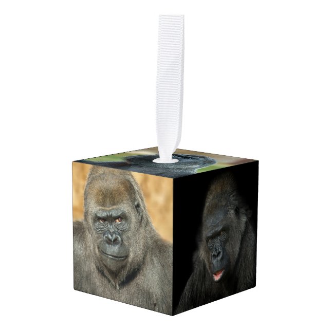 Gorilla Family Cube Ornament (Front Angled)