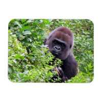 Gorilla Flexible Magnet
