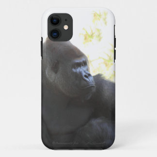 Gorilla Gaze iPhone5 Case