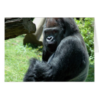 Gorilla Cards | Zazzle