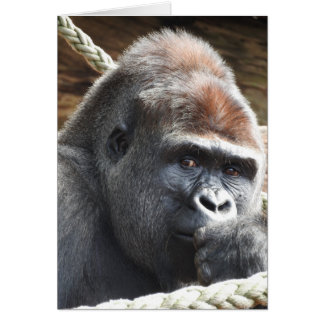 Gorilla Cards | Zazzle