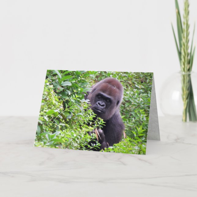 Gorilla Greeting Card (Front)