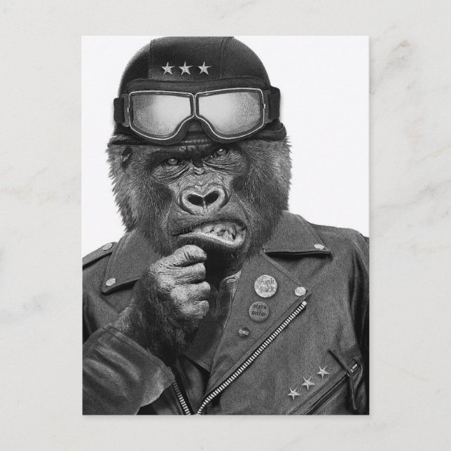 Gorilla Guy Postcard (Front)