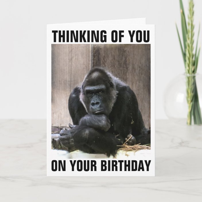 GORILLA HAPPY BIRTHDAY GREETING CARDS | Zazzle.com