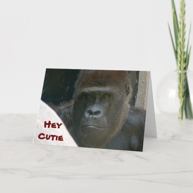 GORILLA, HEY CUTIE VALENTINE card (Front)