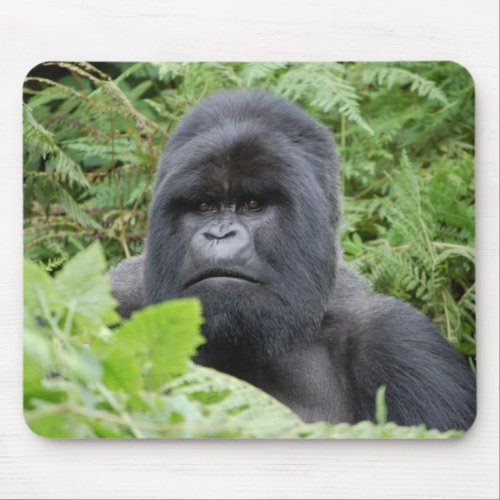 Gorilla in Rwanda Mouse Pad