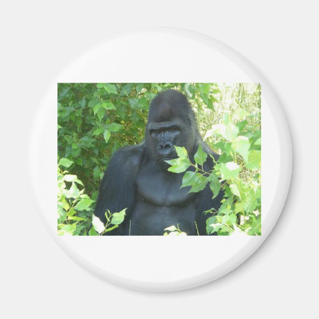 gorilla in the bush magnet (Front)