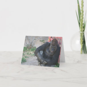 Gorilla in the Sun Letterpress Thank You Card