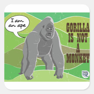 Gorilla is not a monkey square sticker