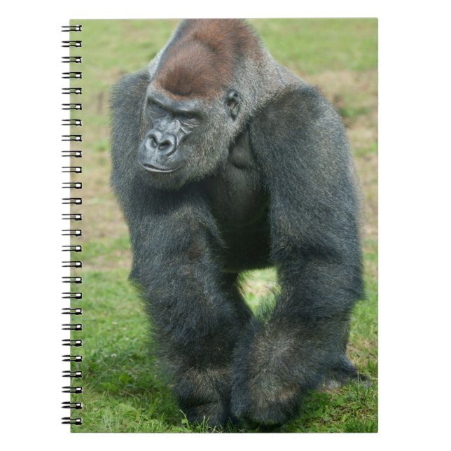 Gorilla Language of Strength Notebook (Front)