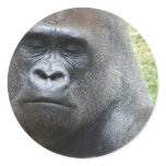 Gorilla Look Stickers