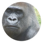 Gorilla Look Stickers
