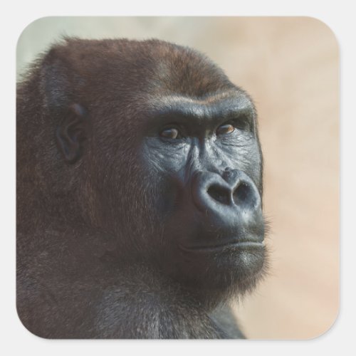 Gorilla Lope Close_up Square Sticker