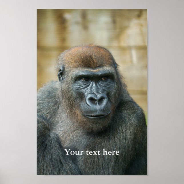 Gorilla Lope Poster (Front)