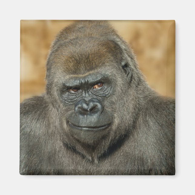 Gorilla Magnet (Front)