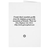 Gorilla my dreams - female (Back)