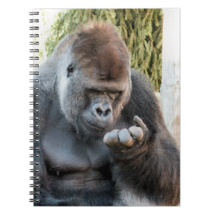 GORILLA NOTEBOOK