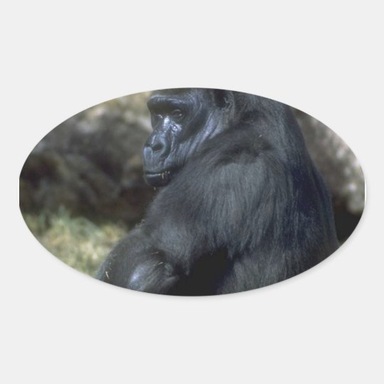 Gorilla Oval Sticker